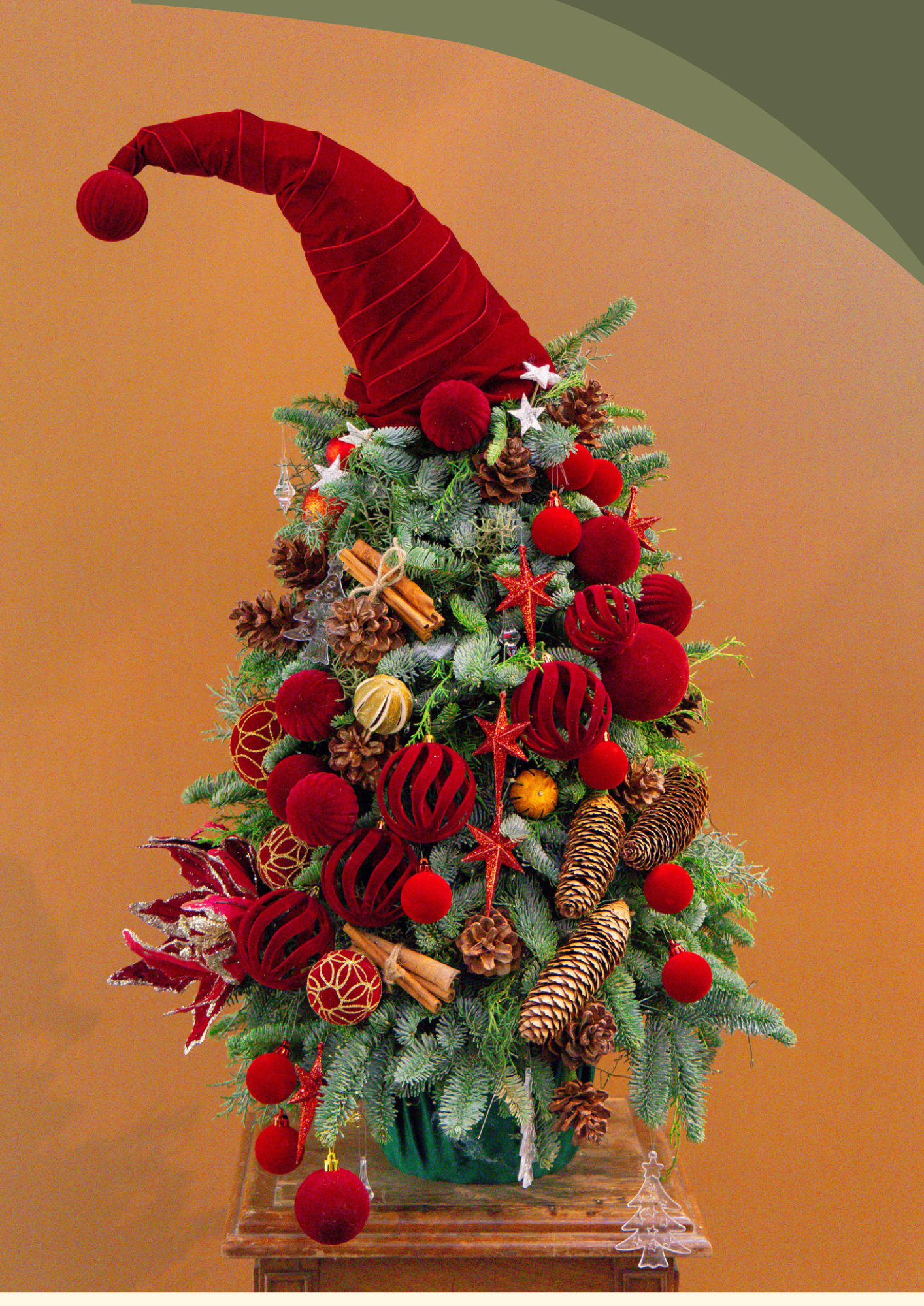 Eve – Chậu Thông Tươi Christmas Tale